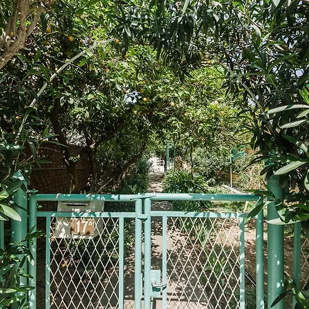 Central House In Garden * Nicosia